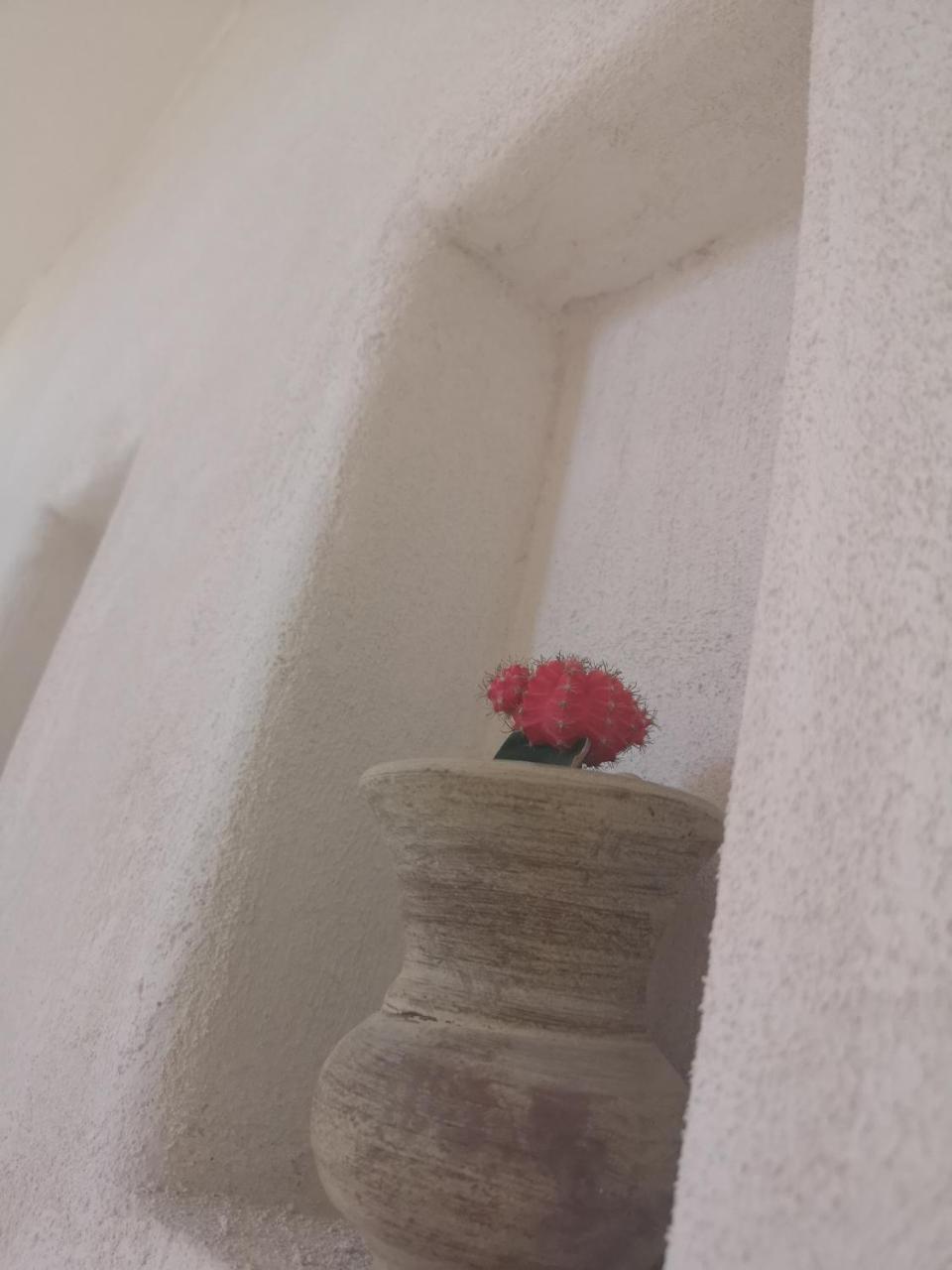 פרוסידה B&B Villa Rosalia מראה חיצוני תמונה