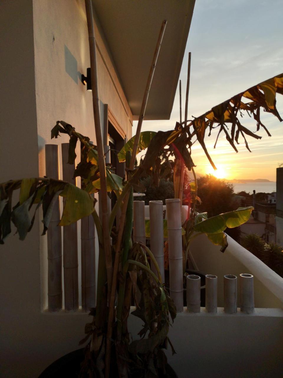 פרוסידה B&B Villa Rosalia מראה חיצוני תמונה